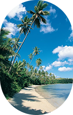 Tropical Paradise